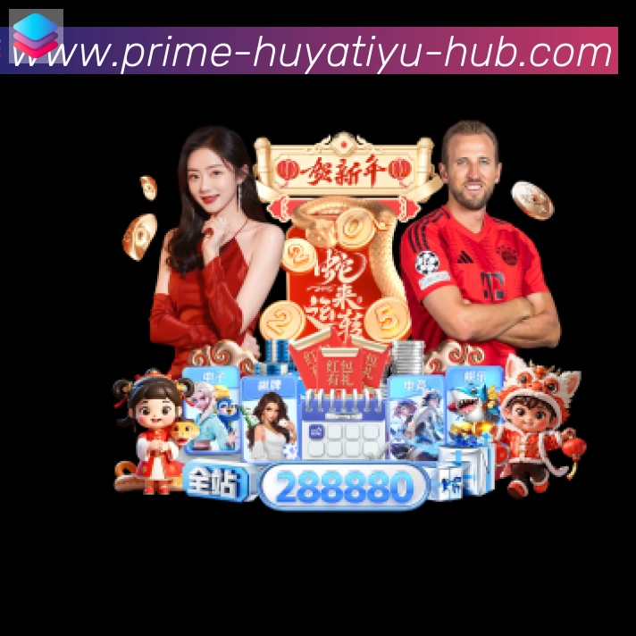 互动解说服务